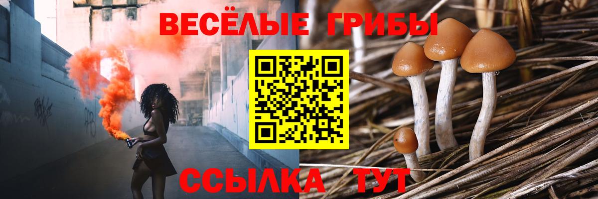 Галлюциногенные грибы MAGIC MUSHROOMS Туймазы